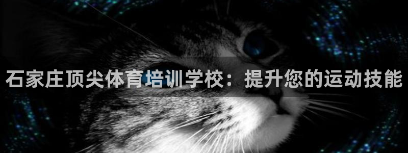 焦点娱乐平台登录不了怎么回事：石家庄顶尖体育培训学校