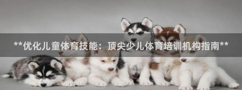 焦点娱乐传媒有限公司官网：**优化儿童体育技能：顶尖