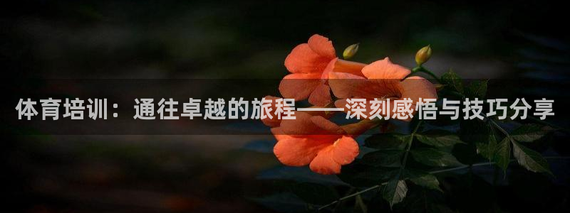 焦点娱乐网站下载地址在哪：体育培训：通往卓越的旅程—