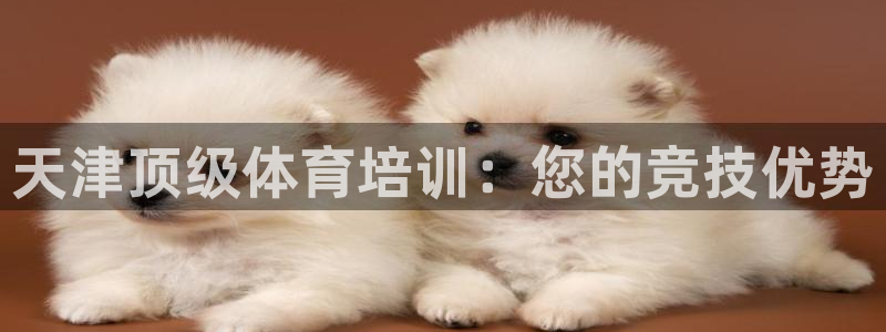 焦点娱乐app下载安装：天津顶级体育培训：您的竞技优