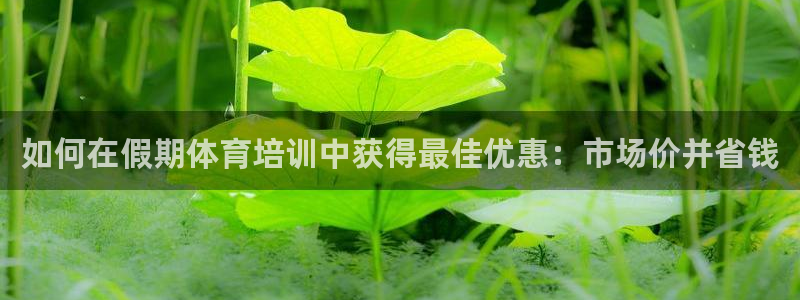 焦点娱乐公司简介怎么写：如何在假期体育培训中获得最佳
