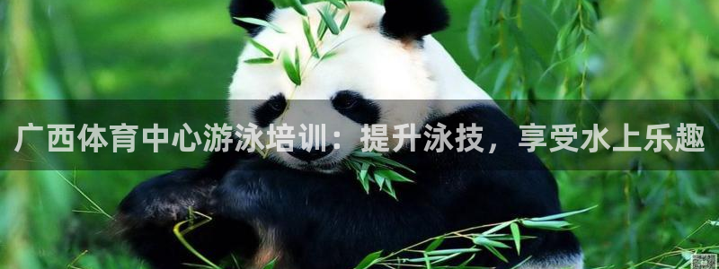 焦点娱乐官方网站入口在线观看视频：广西体育中心游泳培