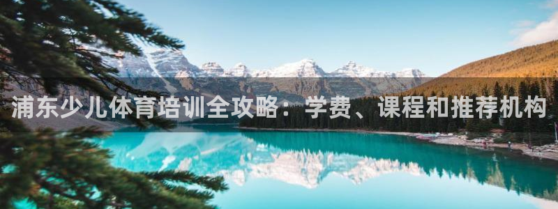 焦点娱乐是拉菲公司的吗是真的吗：浦东少儿体育培训全攻