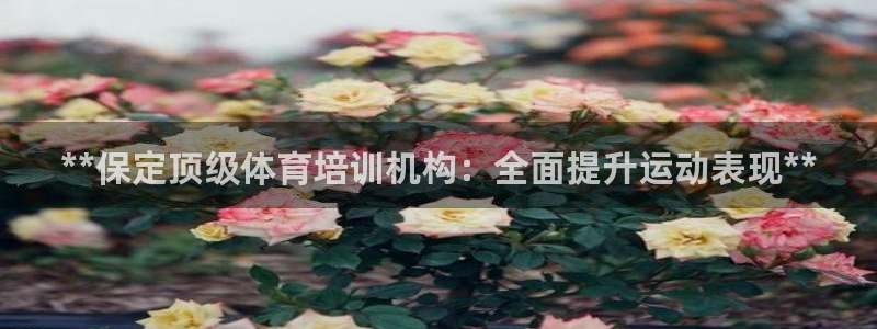 焦点娱乐营7O777：**保定顶级体育培训机构：全面