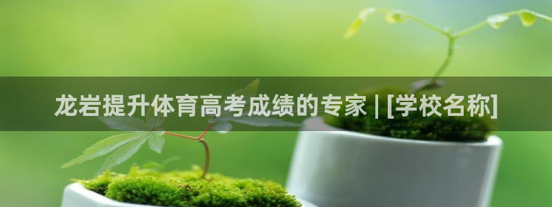 焦点娱乐力 411o31 焦点