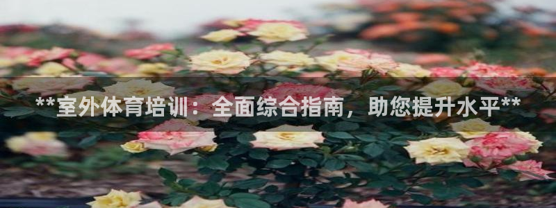 焦点娱乐平台登录不了怎么办：**室外体育培训：全面综