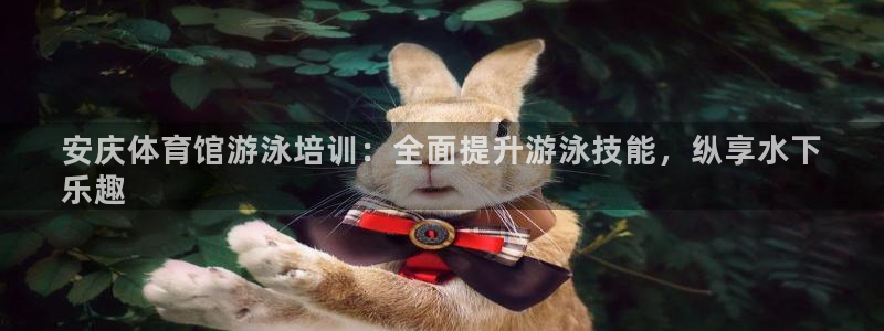 焦点娱乐有限公司：安庆体育馆游泳培训：全面提升游泳技