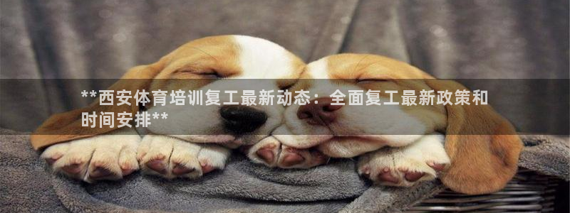 焦点娱乐平台登录不了了：**西安体育培训复工最新动态