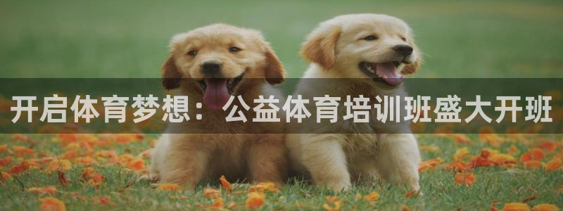 焦点娱乐下载手机版官网