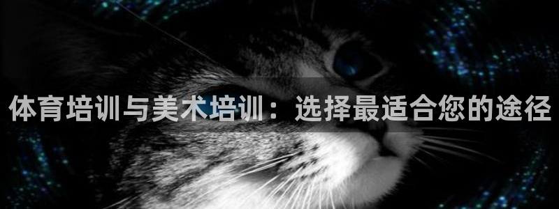 焦点娱乐游戏攻略视频：体育培训与美术培训：选择最适合
