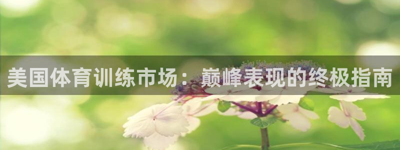 焦点娱乐公司的发展历程简述：美国体育训练市场：巅峰表