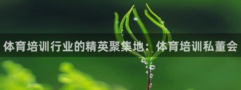 焦点娱乐官方网站下载手机版安装：体育培训行业的精英聚