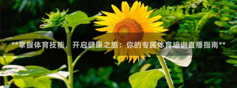 焦点娱乐如何注册账号和密码呢：**掌握体育技能，开启