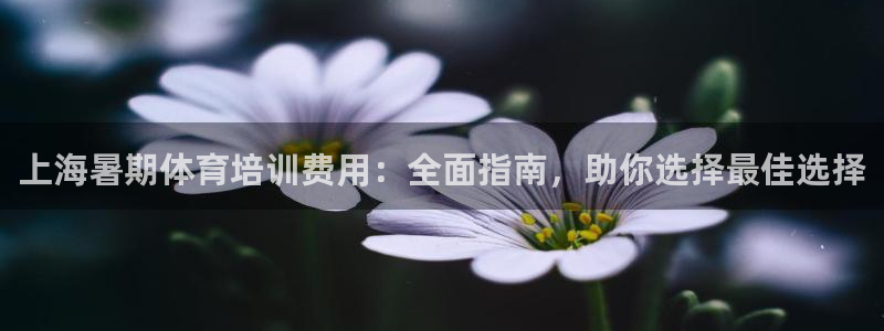 焦点娱乐平台是正规的吗安全吗知乎：上海暑期体育培训费