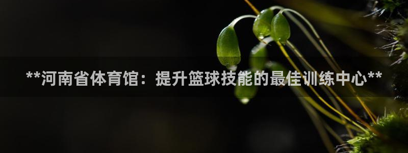 焦点娱乐平台任7O777：**河南省体育馆：提升篮球