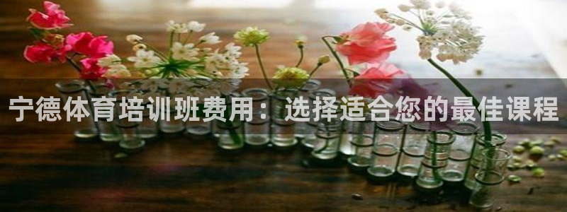 焦点娱乐公司官网：宁德体育培训班费用：选择适合您的最