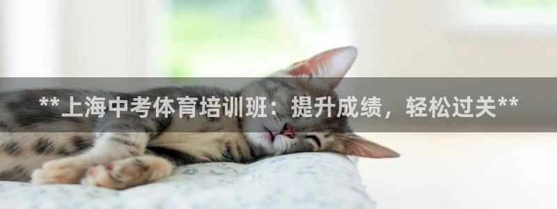 焦点娱乐传媒有限公司怎么样啊赚钱吗：**上海中考体育