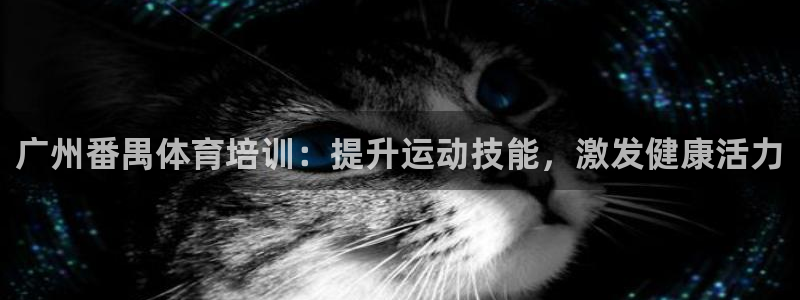 焦点娱乐平台是正规的吗安全吗知乎