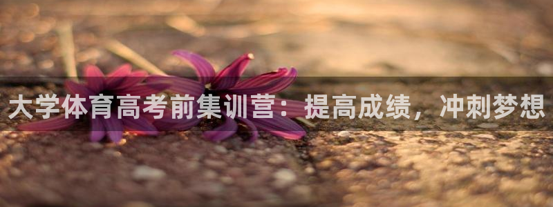 焦点娱乐平台是正规的吗安全吗知乎：大学体育高考前集训