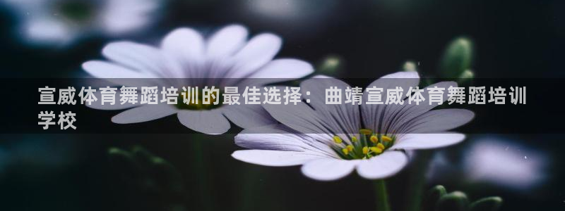 焦点娱乐平台注册账号安全吗知乎：宣威体育舞蹈培训的最