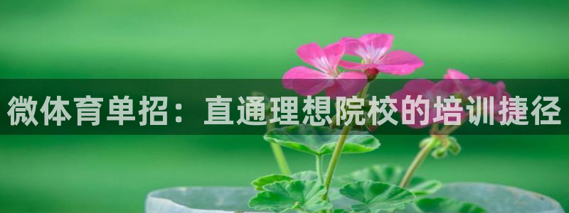 焦点娱乐app下载官网最新版苹果：微体育单招：直通理