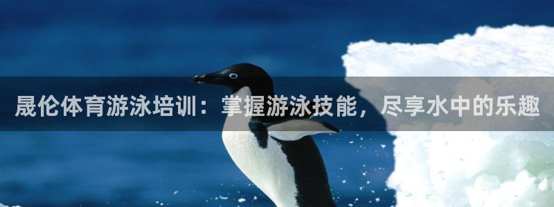焦点娱乐官网下载安装最新版苹果：晟伦体育游泳培训：掌