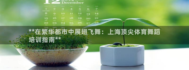 焦点娱乐有限公司招聘：**在繁华都市中展翅飞舞：上海顶尖体育