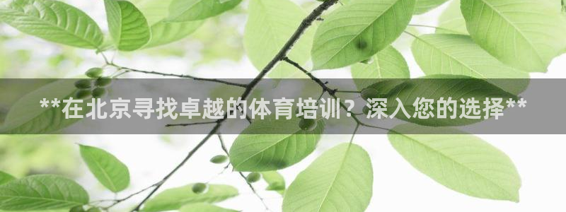 焦点娱乐游戏怎么玩：**在北京寻找卓越的体育培训？深入您的选