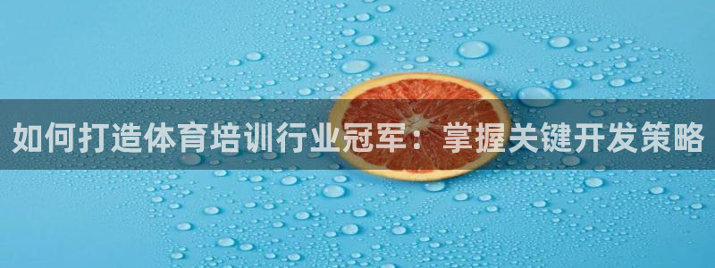 焦点娱乐下载手机版最新版：如何打造体育培训行业冠军：掌握关键