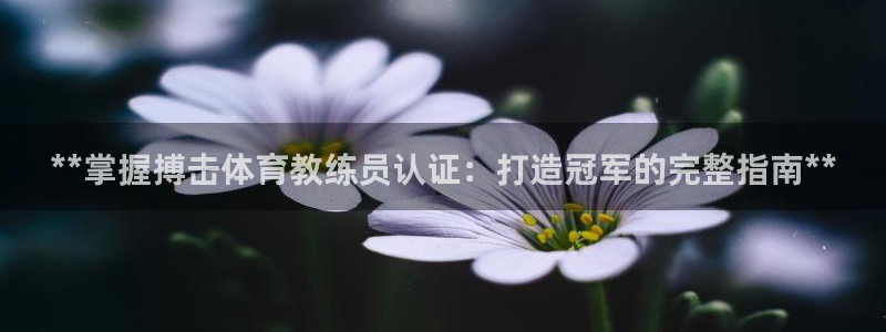 焦点娱乐陈江河：**掌握搏击体育教练员认证：打造冠军的完整指