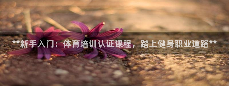 焦点娱乐公司官网：**新手入门：体育培训认证课程，踏上健身职