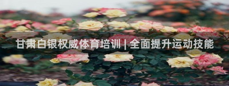 焦点娱乐官方网站下载手机版苹果：甘肃白银权威体育培训 | 全