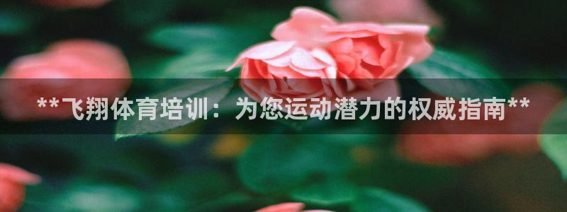 焦点娱乐带你走遍：**飞翔体育培训：为您运动潜力的权