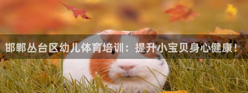 焦点娱乐全国总冠军都有谁：邯郸丛台区幼儿体育培训：提