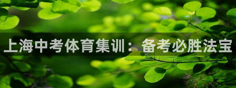焦点娱乐平台登录不了怎么办：上海中考体育集训：备考必