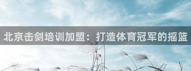 焦点娱乐违法吗：北京击剑培训加盟：打造体育冠军的摇篮