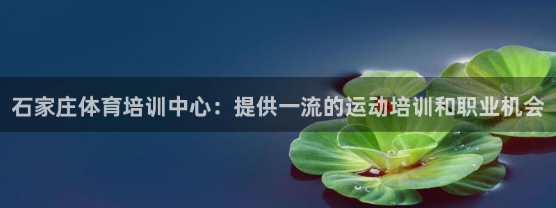 焦点娱乐游戏怎么玩视频：石家庄体育培训中心：提供一流