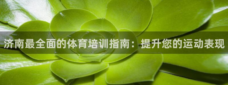焦点娱乐下载手机版最新版：济南最全面的体育培训指南：