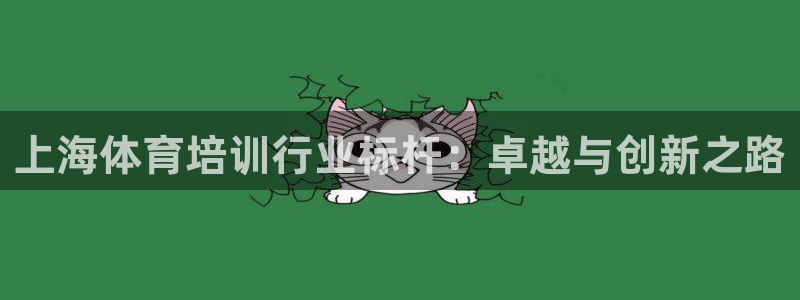 焦点娱乐怎么找客服：上海体育培训行业标杆：卓越与创新之路