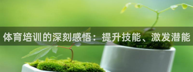 焦点娱乐游戏：体育培训的深刻感悟：提升技能、激发潜能