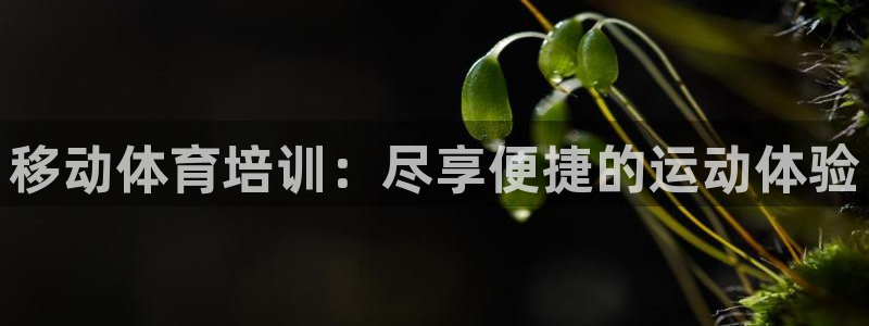 焦点娱乐传媒有限公司官网招聘：移动体育培训：尽享便捷