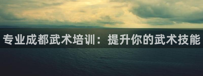 焦点娱乐官网下载：专业成都武术培训：提升你的武术技能