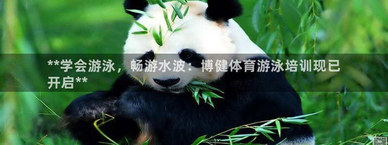 焦点娱乐有限公司怎么样：**学会游泳，畅游水波：博健
