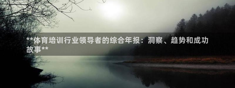 焦点娱乐跨服：**体育培训行业领导者的综合年报：洞察