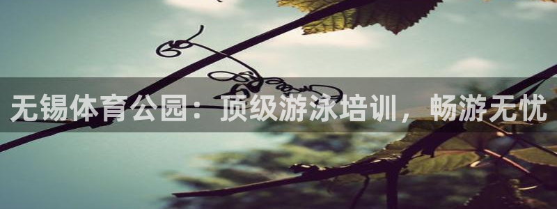 焦点娱乐说说句子：无锡体育公园：顶级游泳培训，畅游无