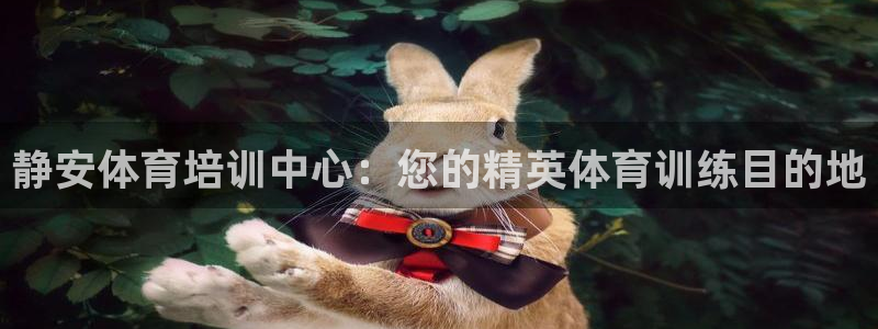 焦点娱乐陈江河：静安体育培训中心：您的精英体育训练目
