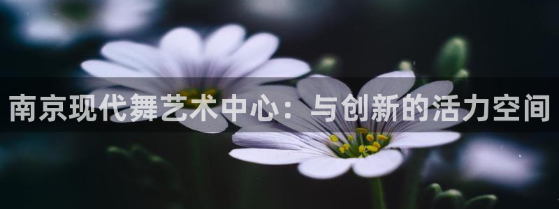 焦点娱乐皮皮虾视频