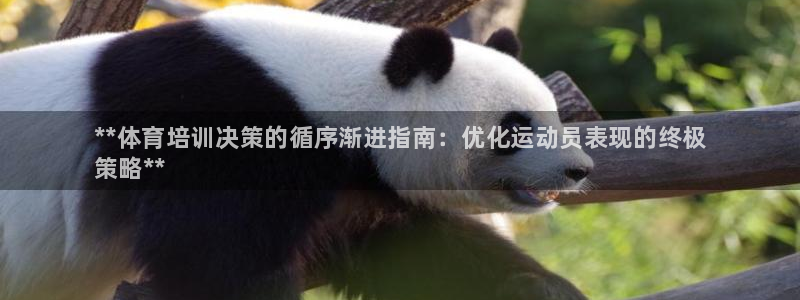 焦点娱乐股东有哪些：**体育培训决策的循序渐进指南：