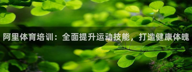 焦点娱乐门徒娱乐骗局：阿里体育培训：全面提升运动技能，打造健