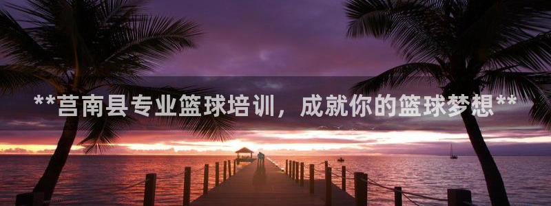 焦点娱乐app下载：**莒南县专业篮球培训，成就你的篮球梦想